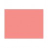 BU164 500 Set de table unis Rose 40x27cm