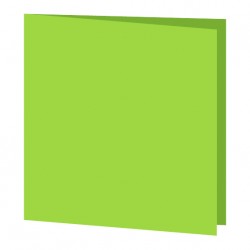 GDP8 50 Serviettes couleur Vert anis 33x33cm