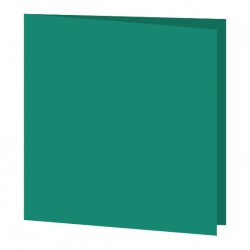 GDP9 50 Serviettes couleur Vert foncé 33x33cm