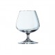 A21 Verres DEGUSTATION 150ml Ø67x h.96mm