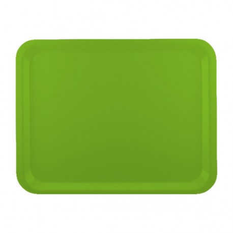 
                DCM79 Plateaux self stratifiés COLOUR Vert 530x325mm
        