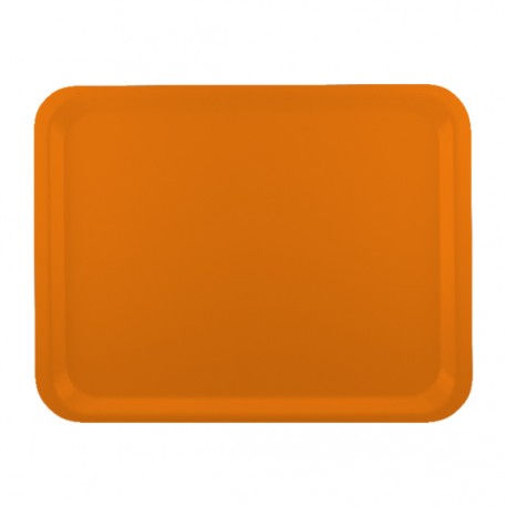 
                DCM84 Plateaux self stratifiés COLOUR Orange 530x325mm
        