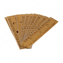 BS18 Lames pour grattoir vitres 100mm 10cm