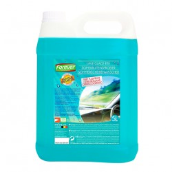 FB4B Lave-glace été 5L.