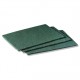 MY10 Pad abrasif vert 15x21cm