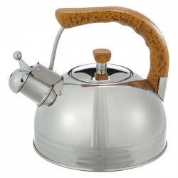 RP56 Bouilloire sifflante 2,5l